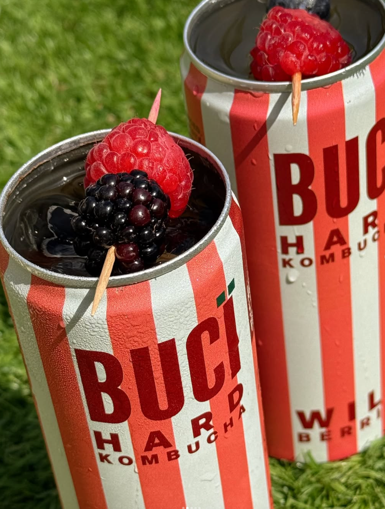Two cans of BUCÏ Wild Berries Hard Kombucha with berries on a grassy background.